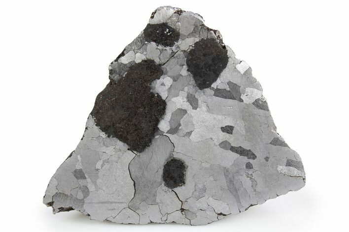 Etched Campo del Cielo Iron Meteorite ( g) Section #300779